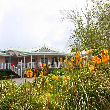 Matakohe House Bed & Breakfast Exterior foto